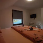 Apartment Tadic And By The Shore Of Rama Prozor