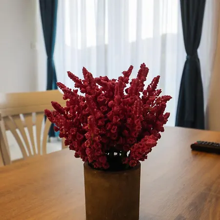 Appartement Tadic And By The Shore Of Rama