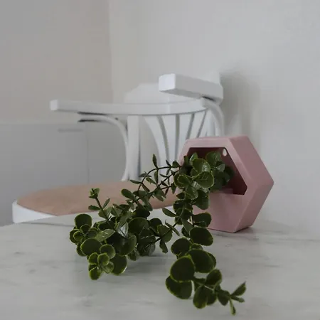 Tadic And By The Shore Of Rama *