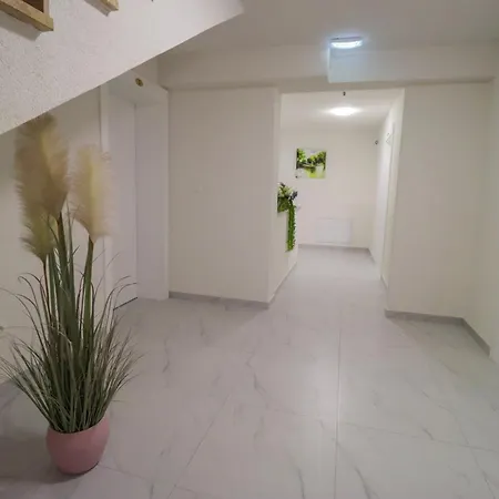 Tadic And By The Shore Of Rama *